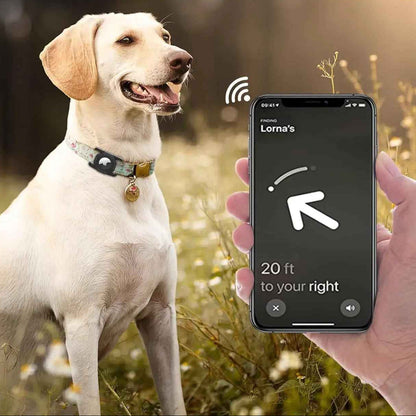 Funda AirTag para perros: mantén a tu mascota segura